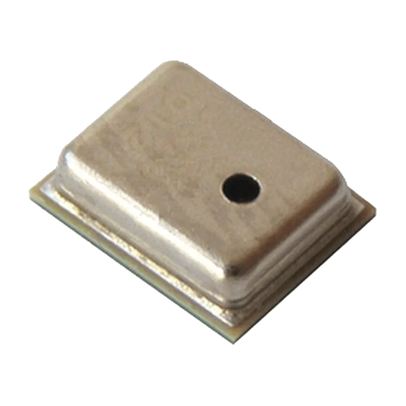 M21-MICROPHONE (2020-2021)